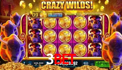 Suporte prioritário e eventos VIP